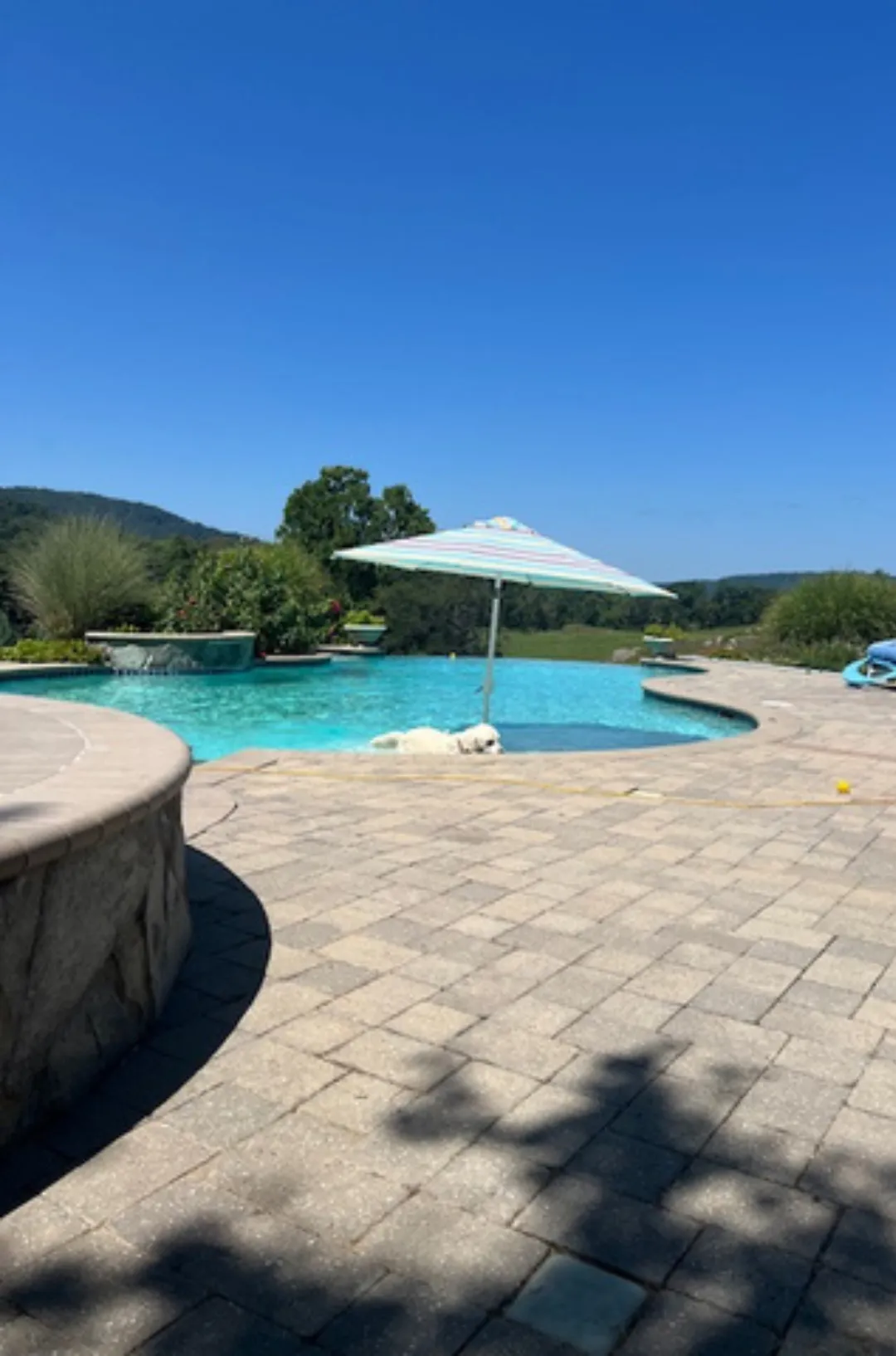 Large infinity edge pool renovation in Northern Virginia